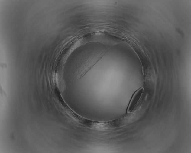 X0000090900139200708061511