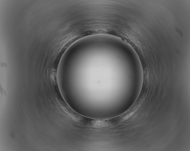 X0000090900141200708061511