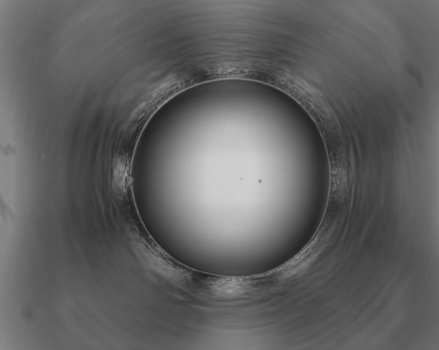 X0000090900142200708061511