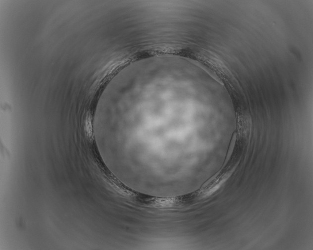 X0000090900143200708061511