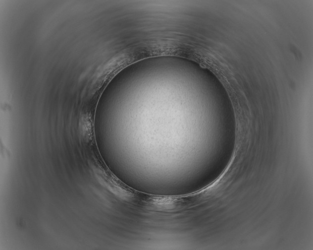 X0000090900144200708061511