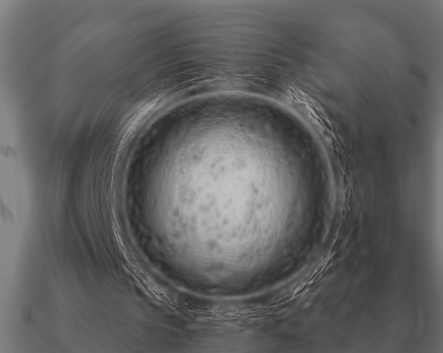 X0000090900145200708061510