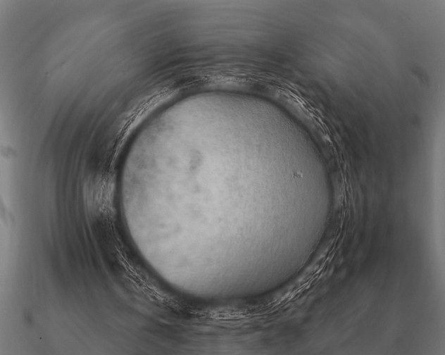 X0000090900146200708061510