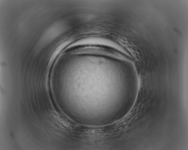 X0000090900147200708061510