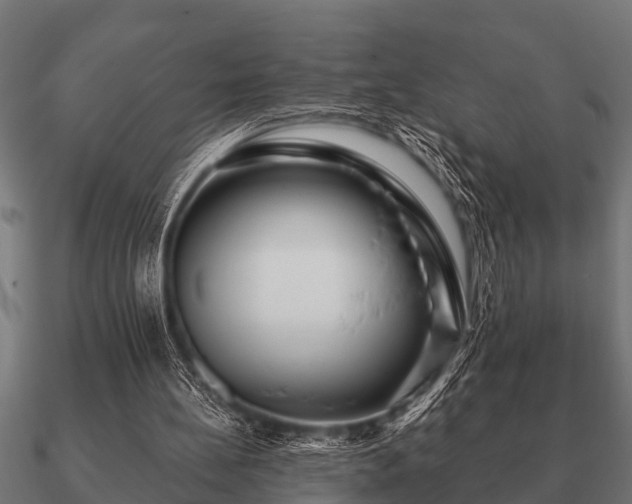 X0000090900148200708061510