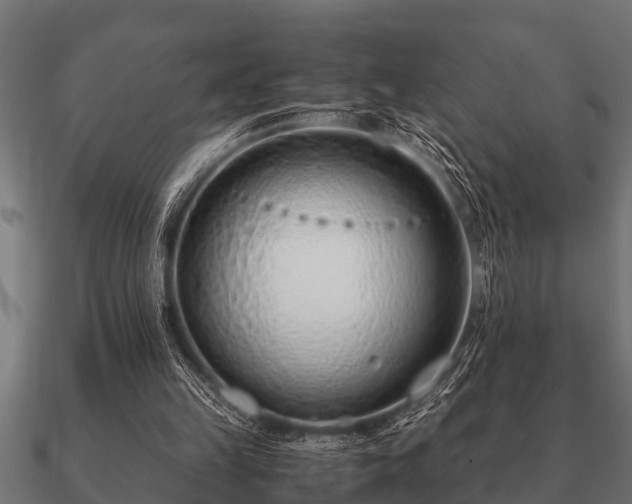 X0000090900149200708061510