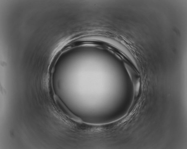 X0000090900152200708061510