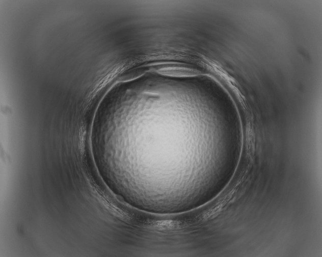 X0000090900153200708061510