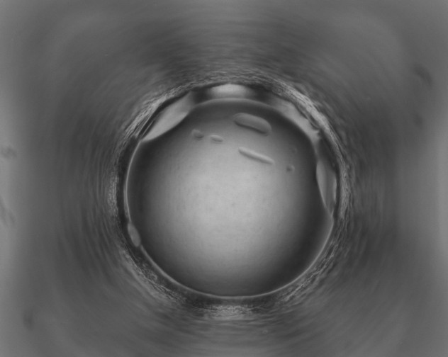 X0000090900154200708061510