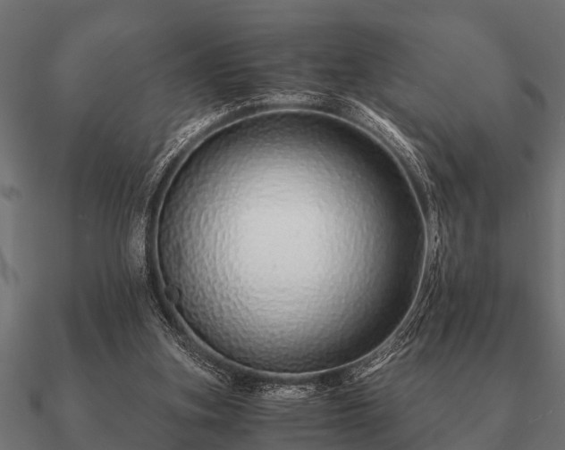 X0000090900155200708061510