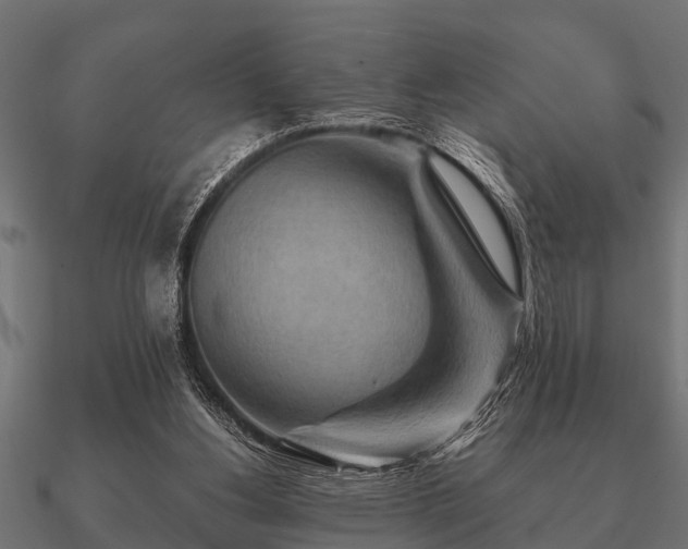 X0000090900156200708061510