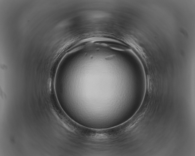 X0000090900157200708061510