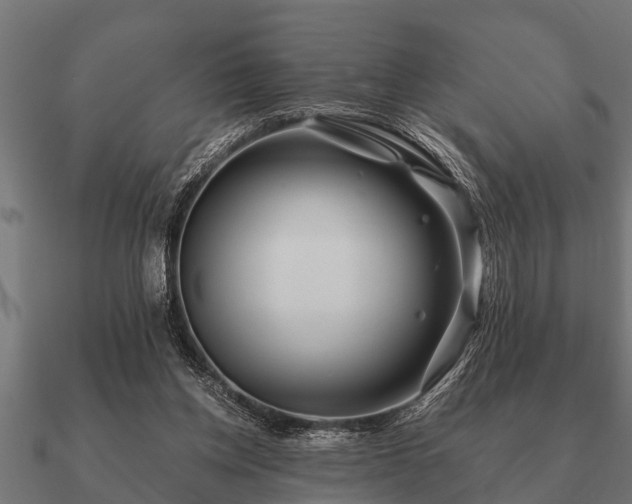 X0000090900158200708061510