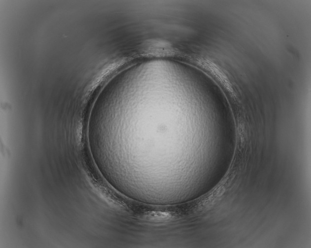 X0000090900159200708061510