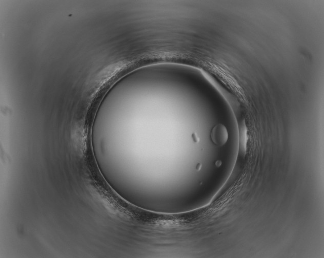 X0000090900160200708061510