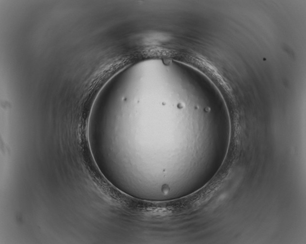 X0000090900161200708061510