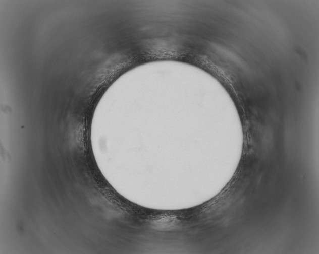 X0000090900162200708061510