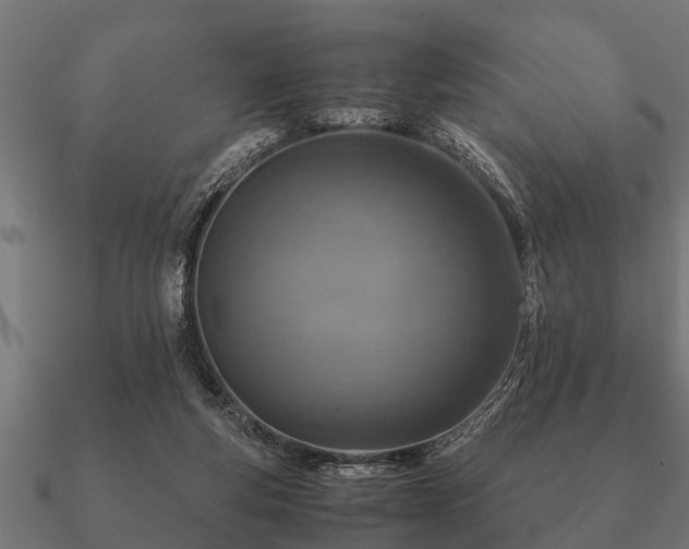 X0000090900163200708061510