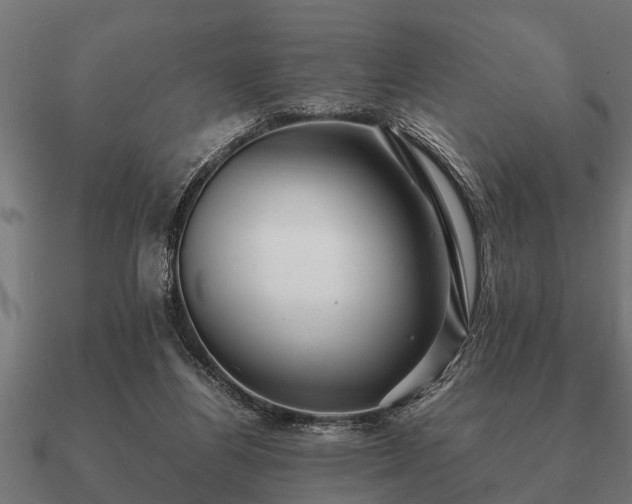 X0000090900164200708061510