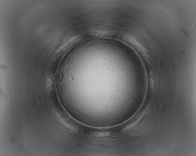 X0000090900165200708061510