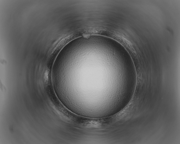 X0000090900166200708061510