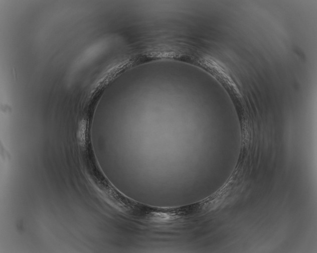 X0000090900167200708061510