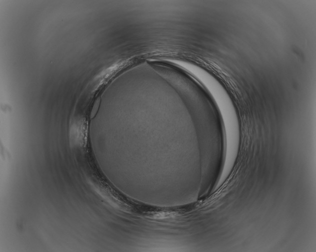 X0000090900168200708061510