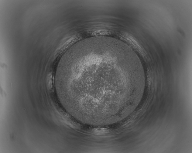 X0000090900169200708061510