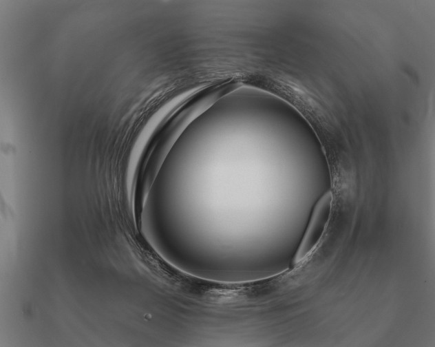 X0000090900170200708061511