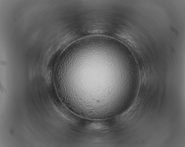 X0000090900171200708061511