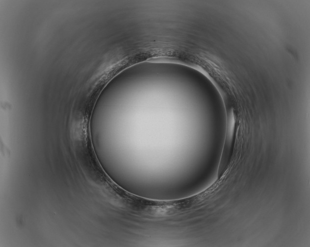 X0000090900172200708061511