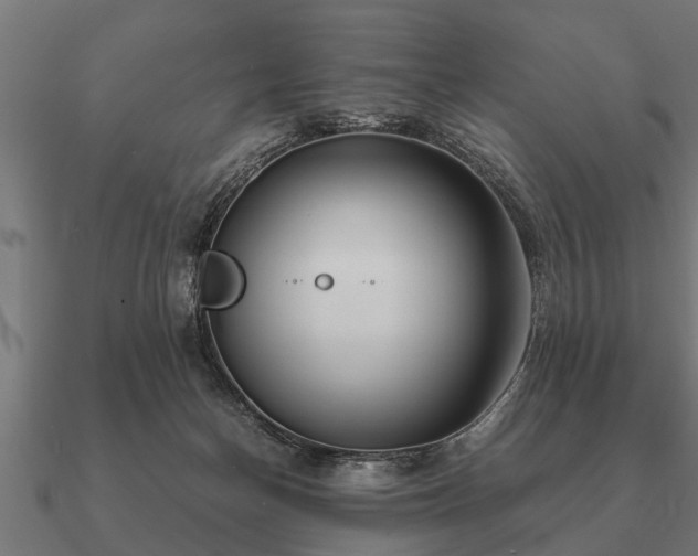 X0000090900174200708061511