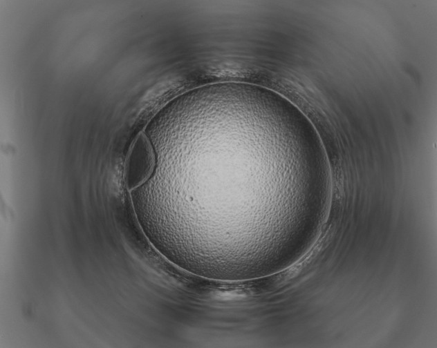 X0000090900175200708061511