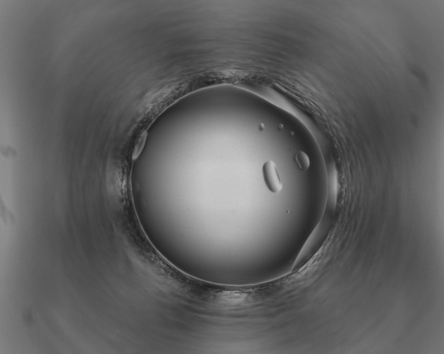 X0000090900176200708061511