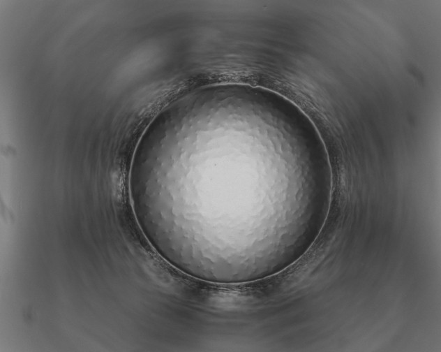 X0000090900177200708061511