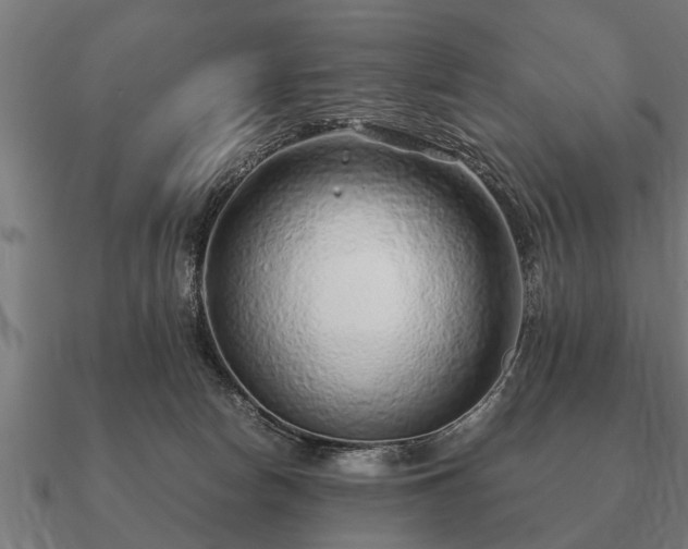 X0000090900178200708061511