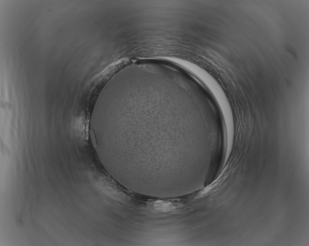 X0000090900180200708061511