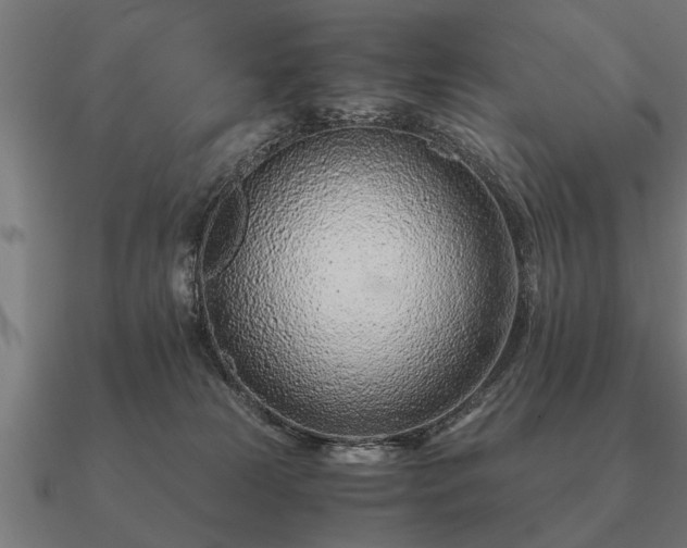 X0000090900181200708061511