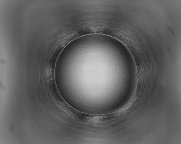 X0000090900182200708061511