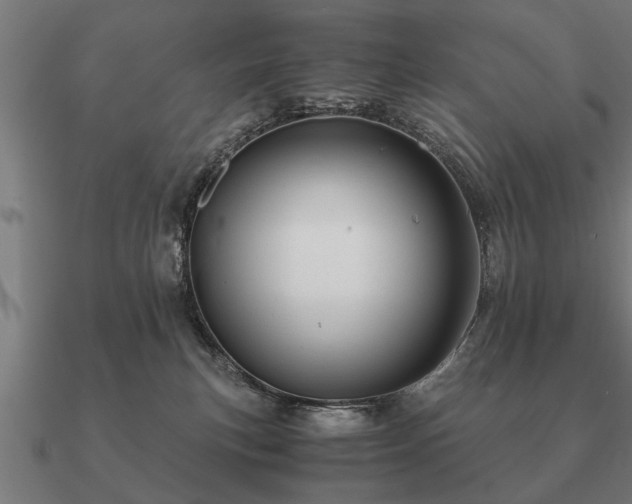 X0000090900183200708061511