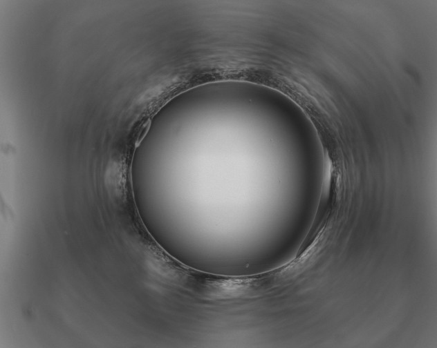 X0000090900184200708061511