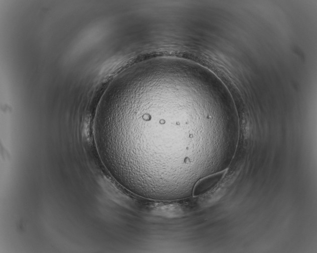 X0000090900185200708061511