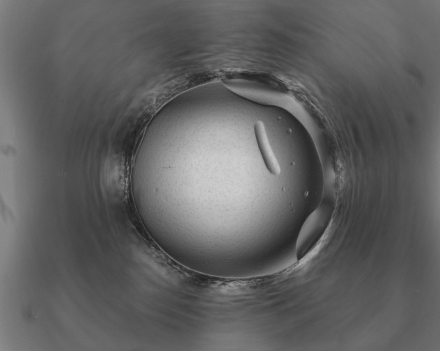 X0000090900186200708061511