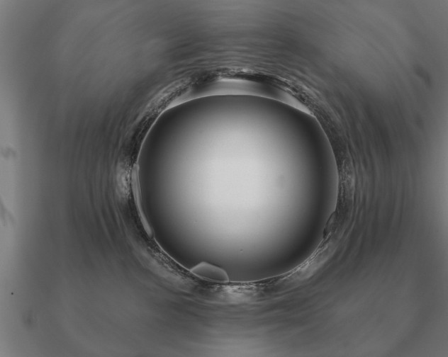 X0000090900188200708061511