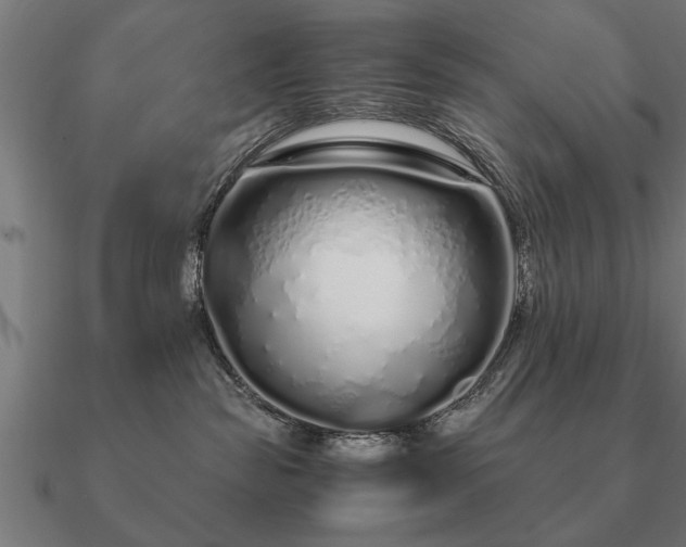 X0000090900189200708061511