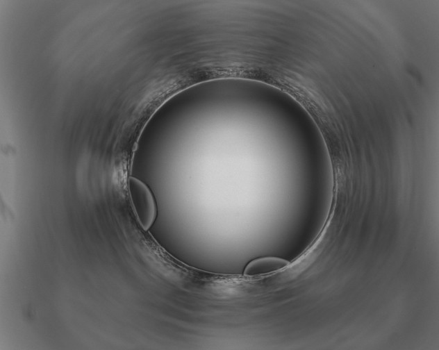 X0000090900190200708061511