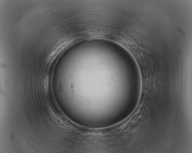 X0000090900194200708061510