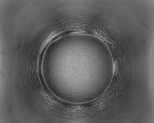 X0000090900195200708061510