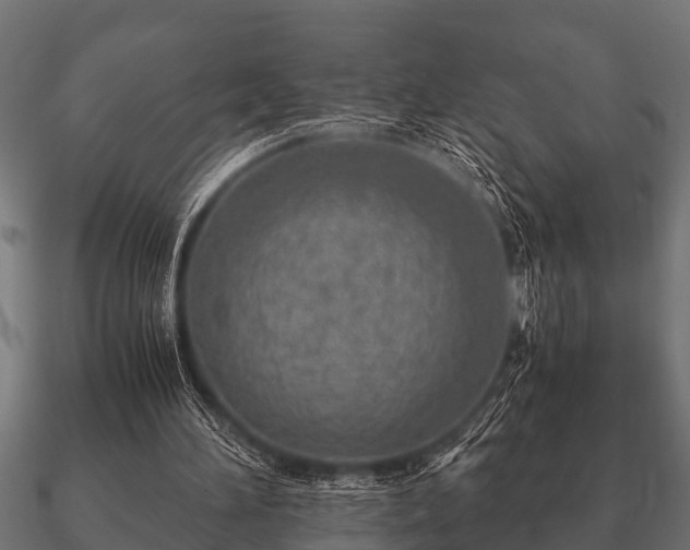 X0000090900196200708061510