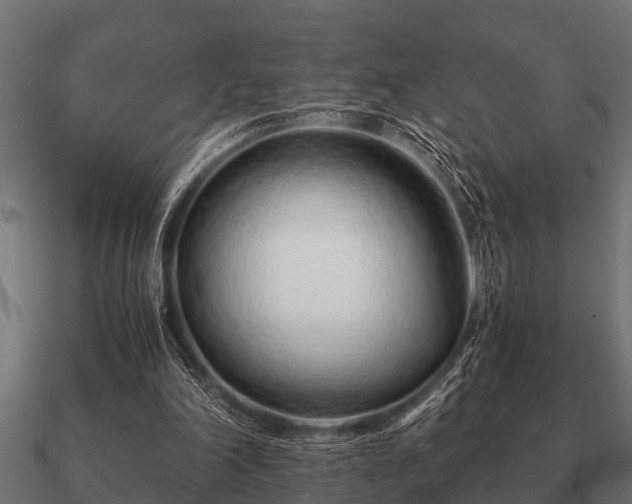 X0000090900198200708061510